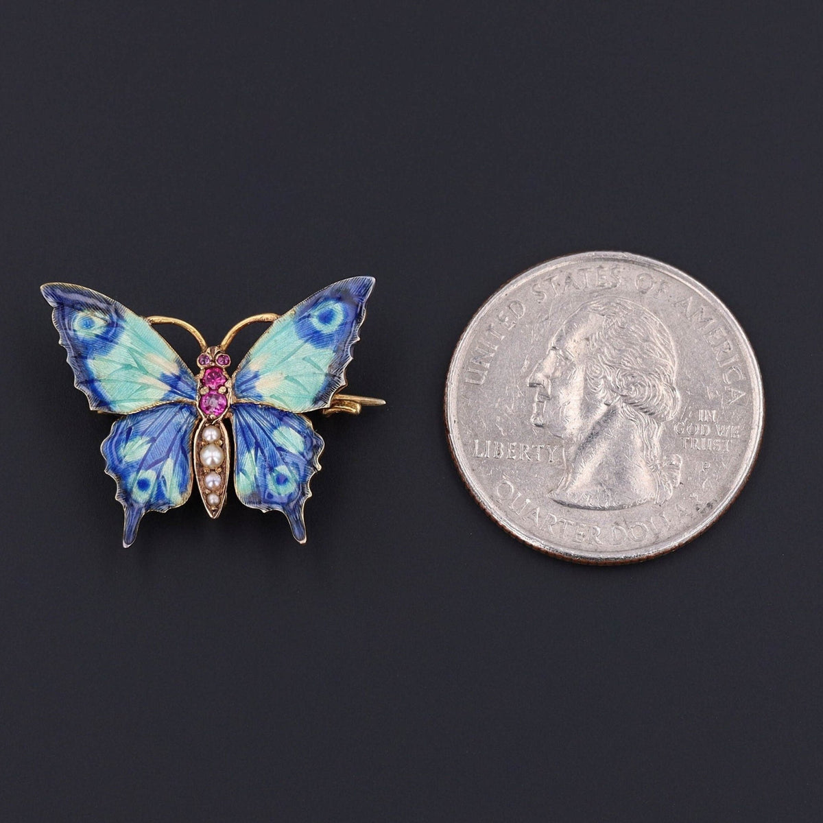 Butterfly Brooch | Antique Butterfly Pin - Trademark Antiques