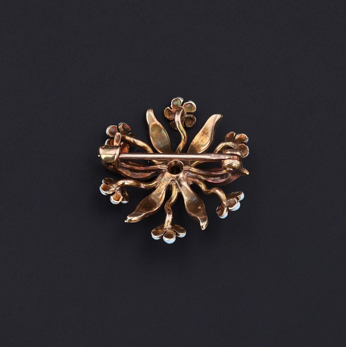 Forget - Me - Not Brooch | Flower Brooch - Trademark Antiques