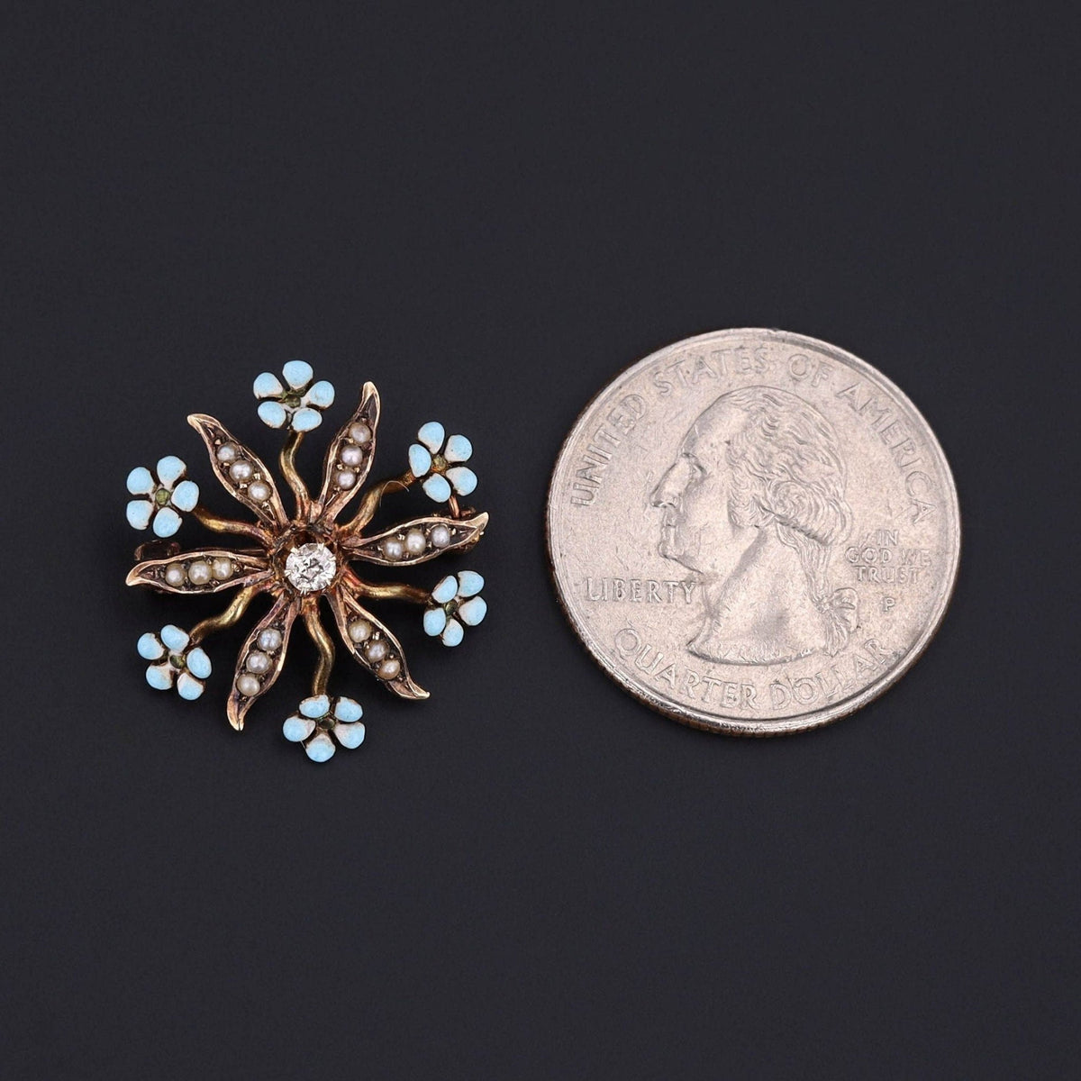 Forget - Me - Not Brooch | Flower Brooch - Trademark Antiques