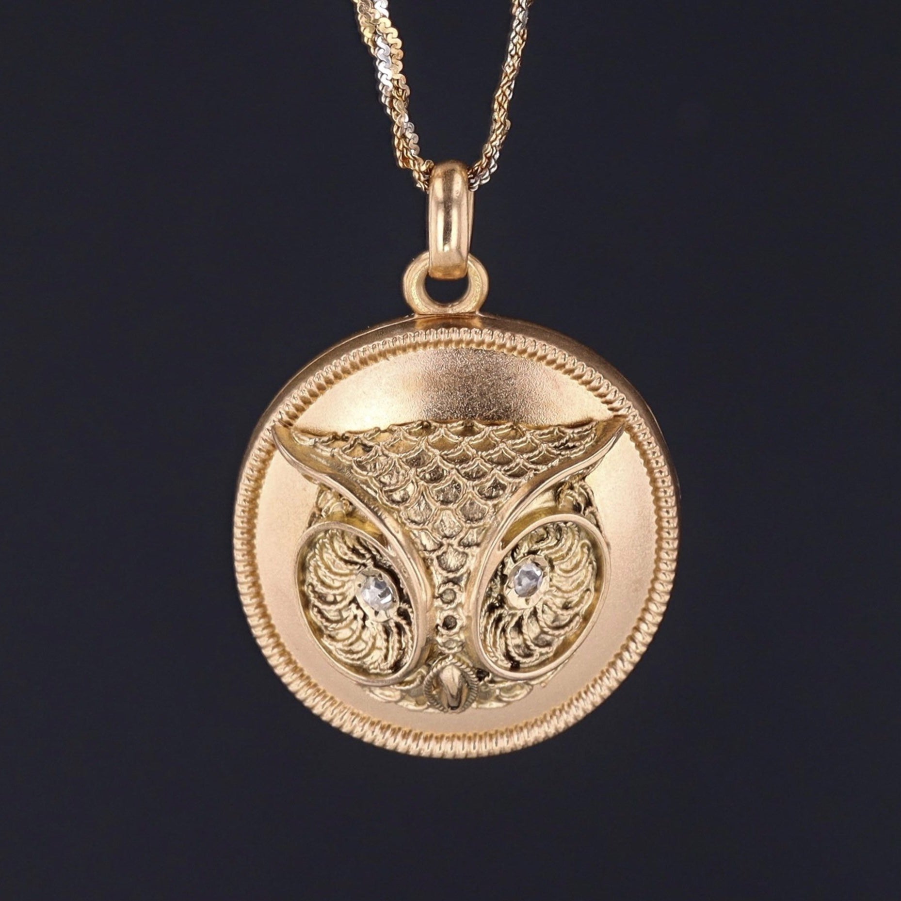 Antique Owl Locket | Antique Gold Locket | 14k Gold Locket on Optional 14k Yellow and White Gold Braided Chain