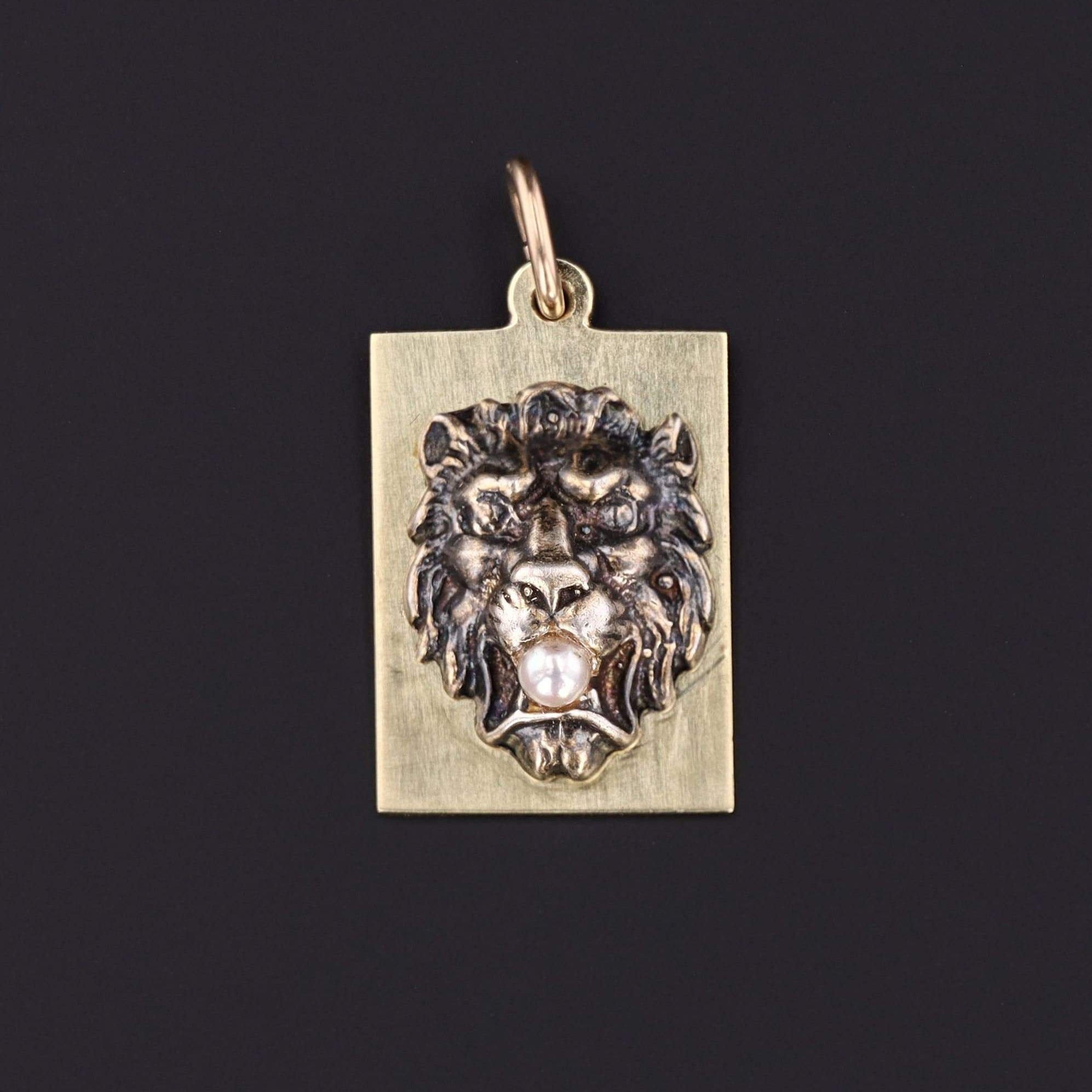 Antique Lion Charm | Pin Conversion 