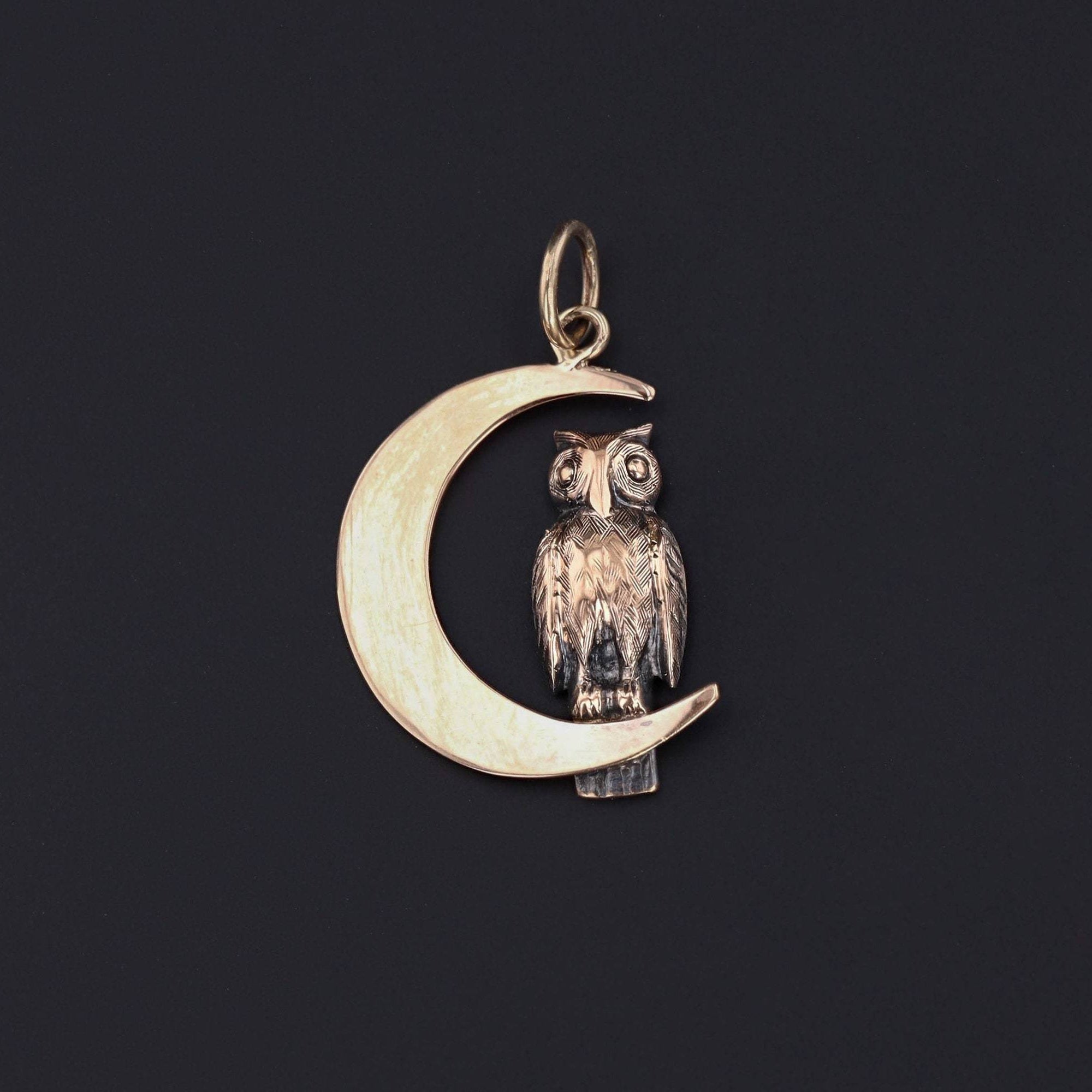 Owl In Crescent Moon Pendant | Antique Pin Conversion Pendant 