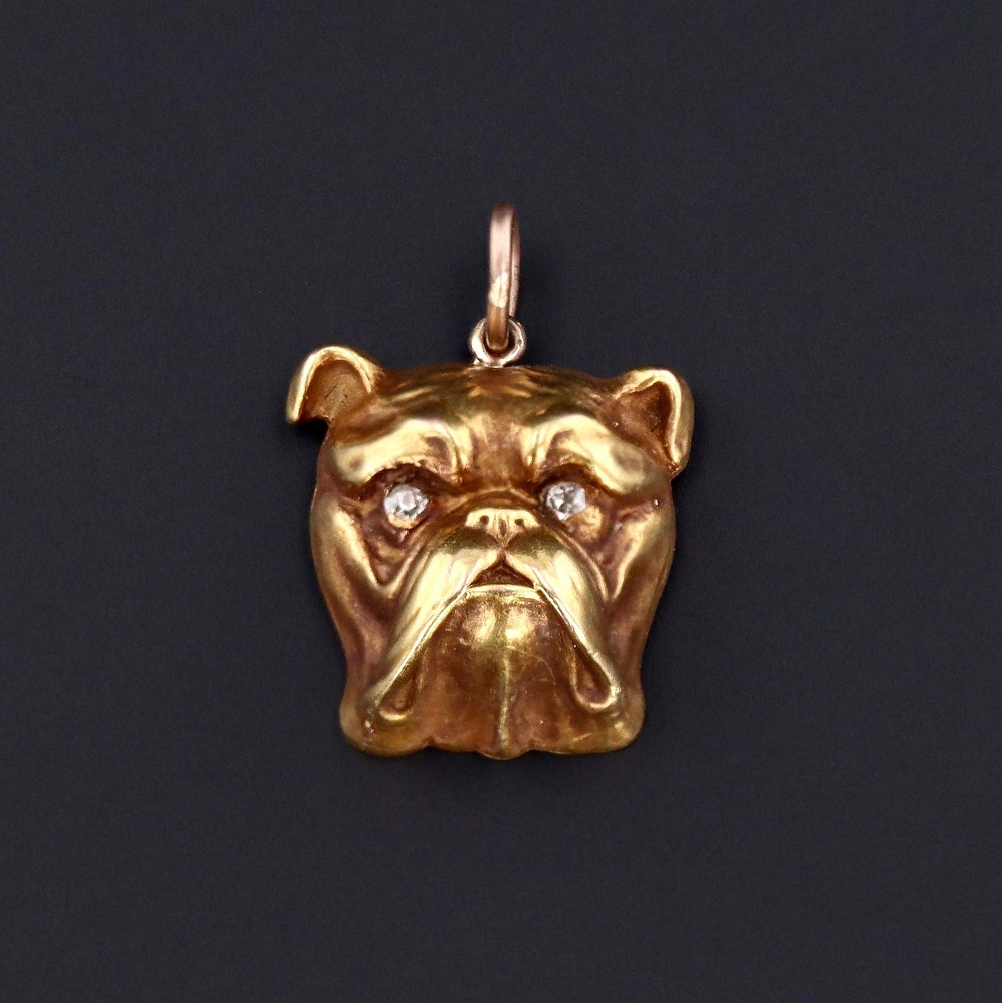 Bulldog Charm | 14k Gold Charm 