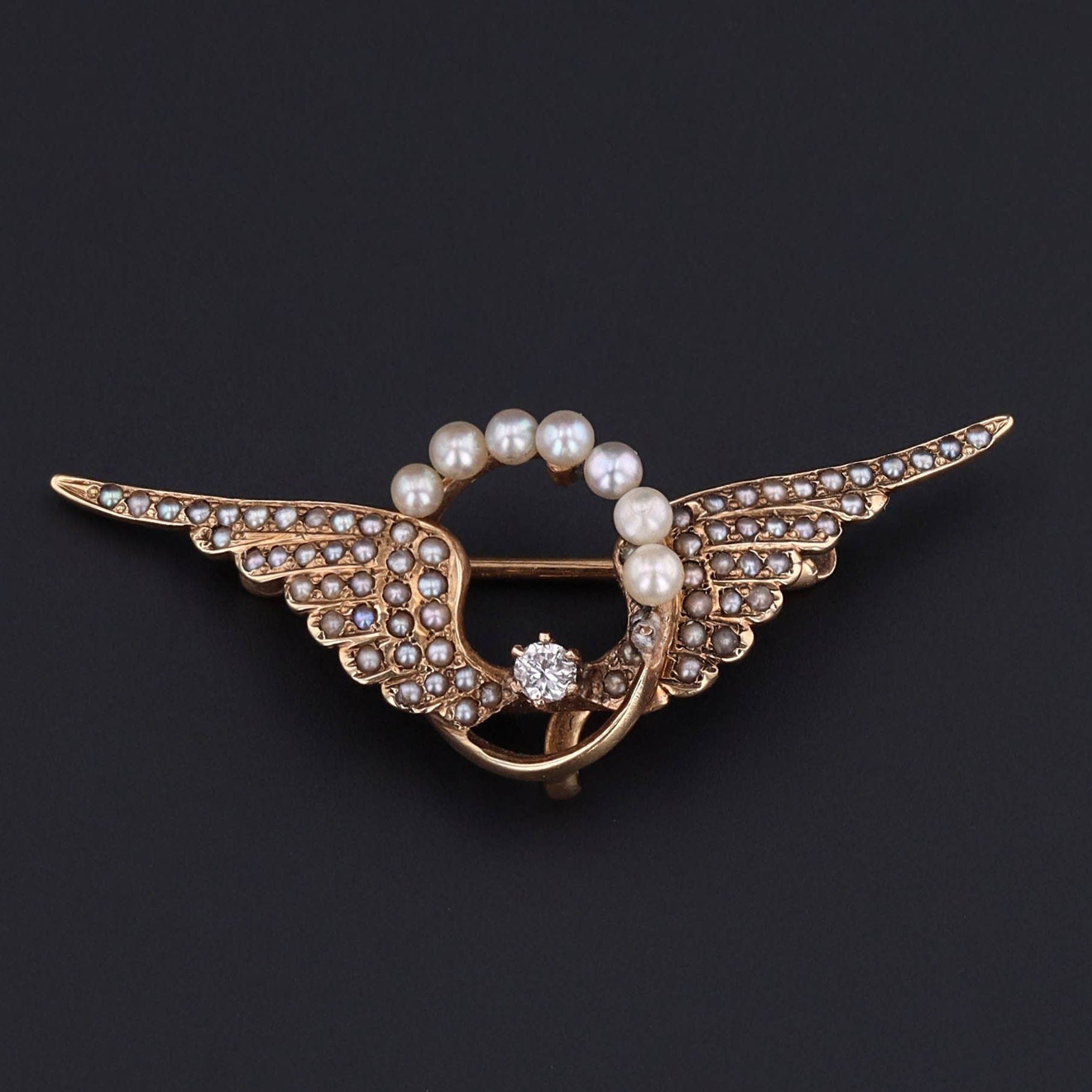 Wings Brooch | Antique Pin 