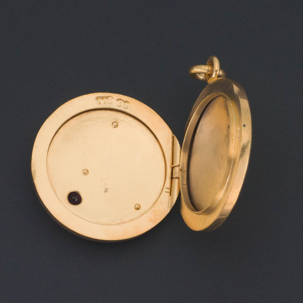 Lion Locket | Antique Lion Locket - Trademark Antiques