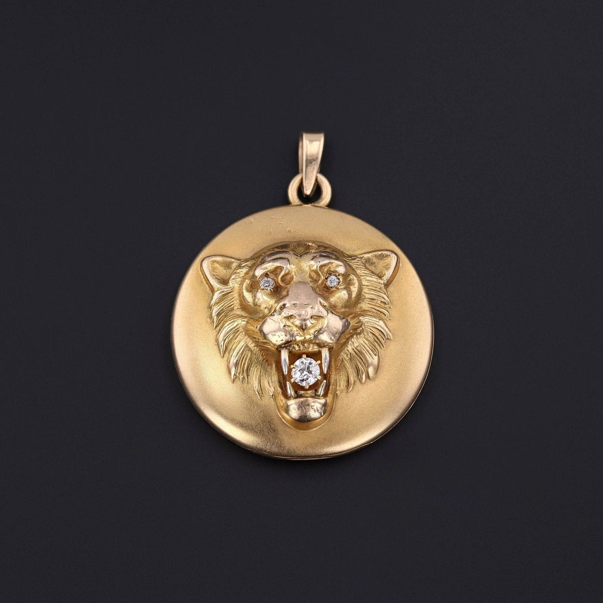 Lion Locket | Lion Pendant - Trademark Antiques