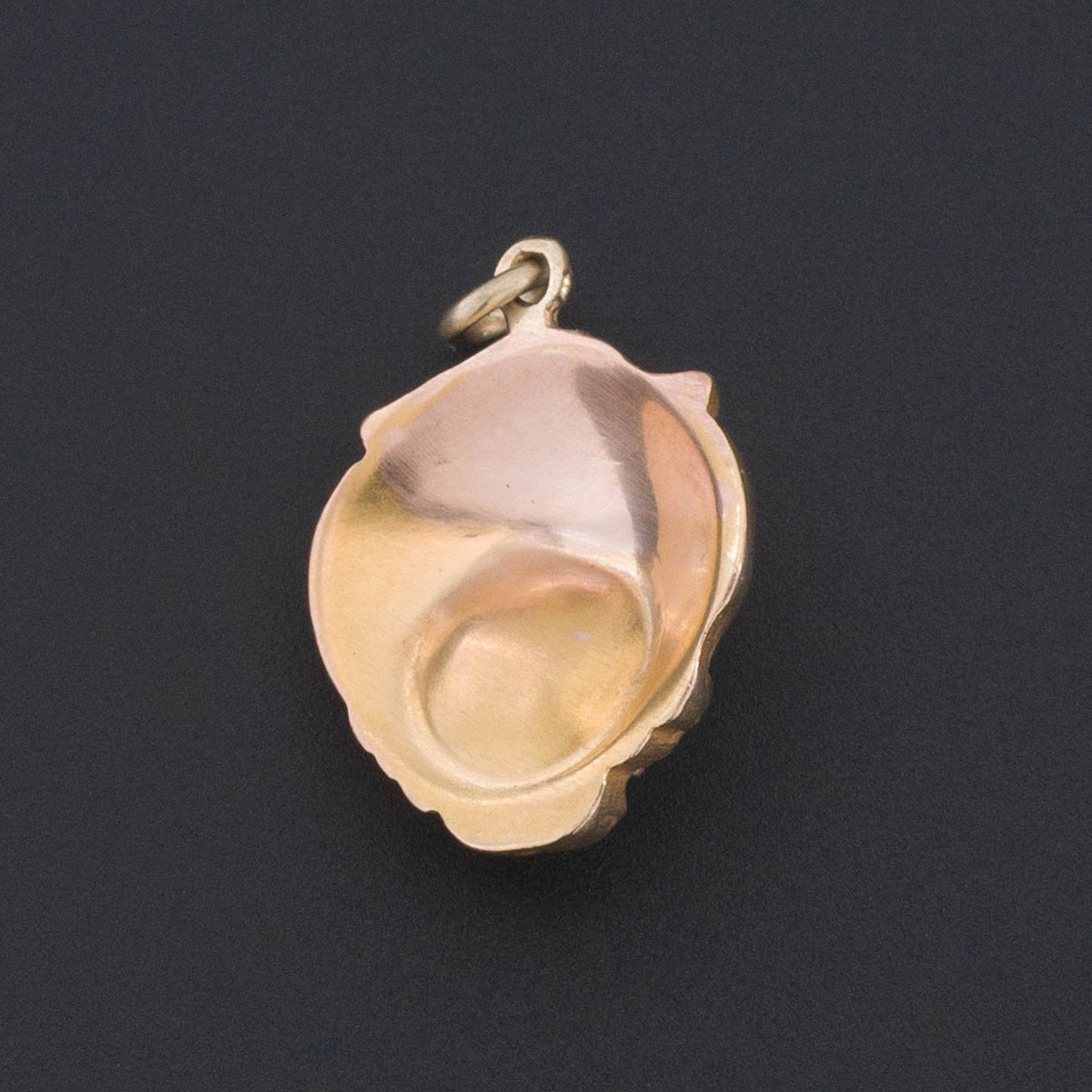 Lion Pendant or Charm | 14k Gold Lion with Diamond - Trademark Antiques