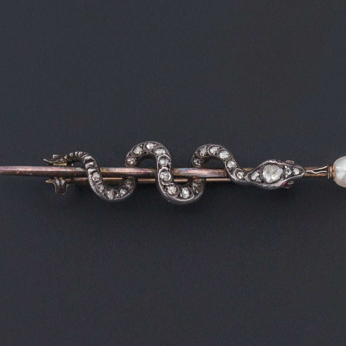 Rod of Asclepius Brooch | Antique Diamond Snake Brooch - Trademark Antiques