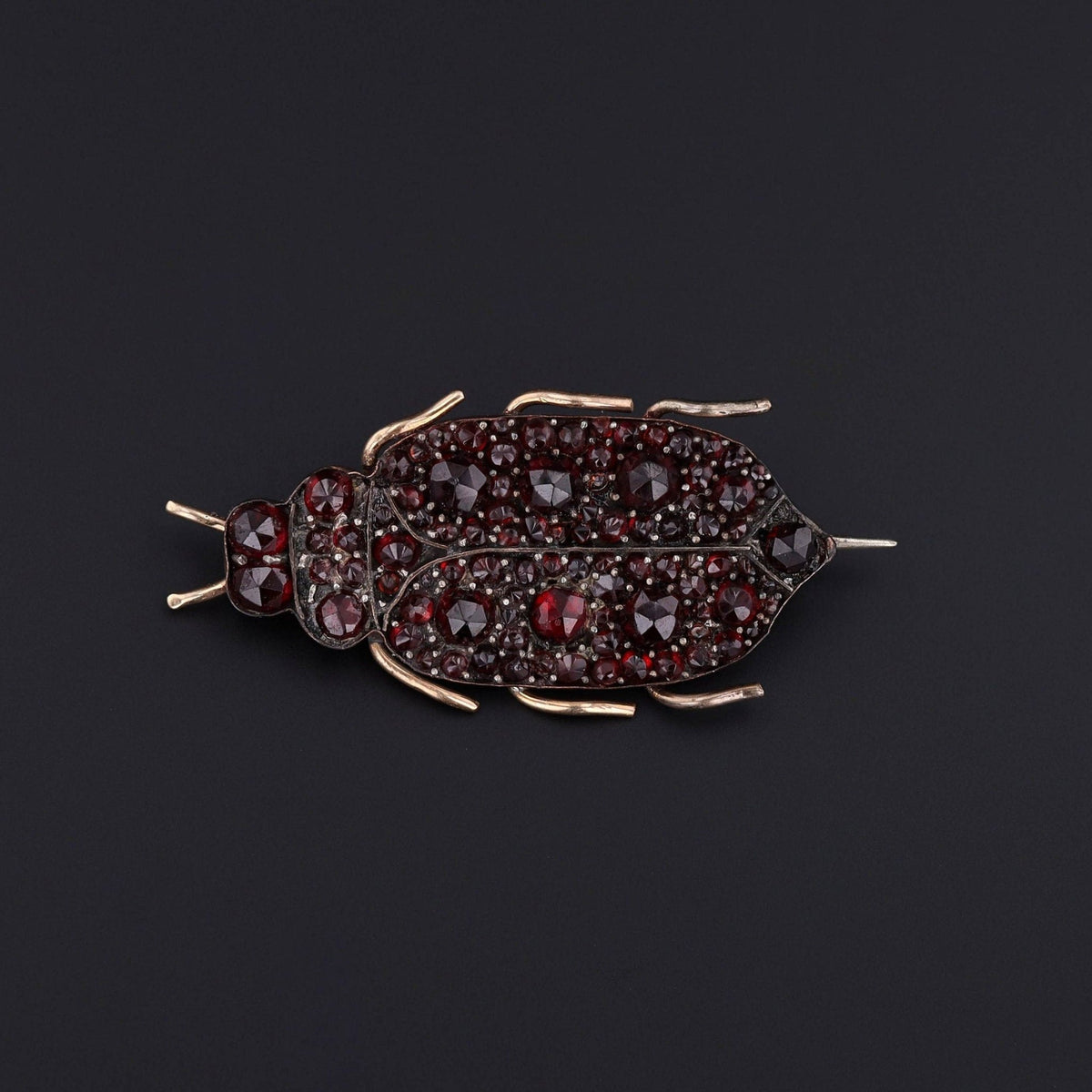 Victorian Bohemian Garnet Insect Brooch - Trademark Antiques