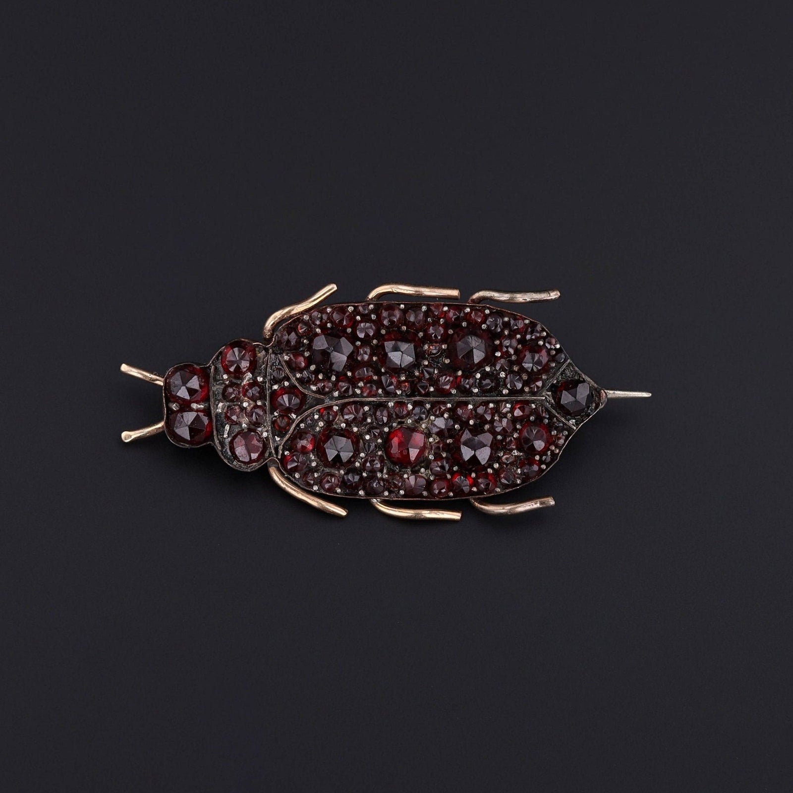Victorian Bohemian Garnet Insect Brooch - Trademark Antiques