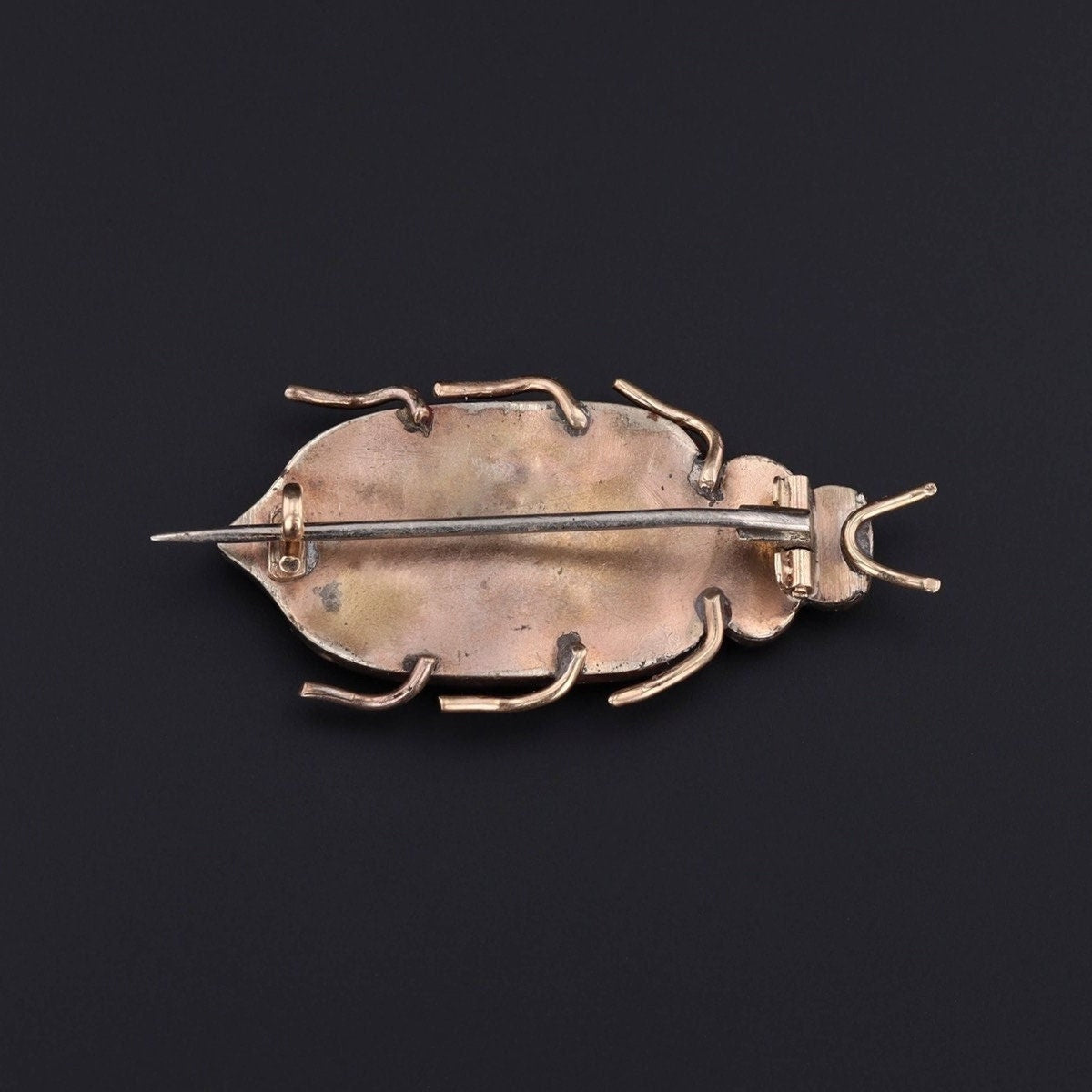 Victorian Bohemian Garnet Insect Brooch - Trademark Antiques