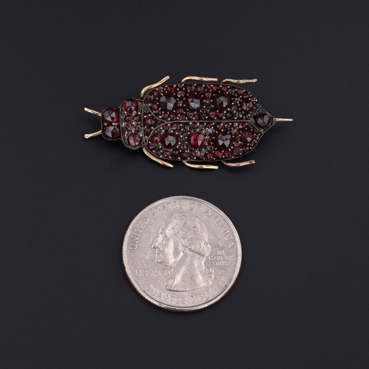 Victorian Bohemian Garnet Insect Brooch - Trademark Antiques